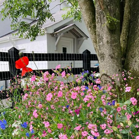 Beech Tree Cottage Glenwherry 외부 사진