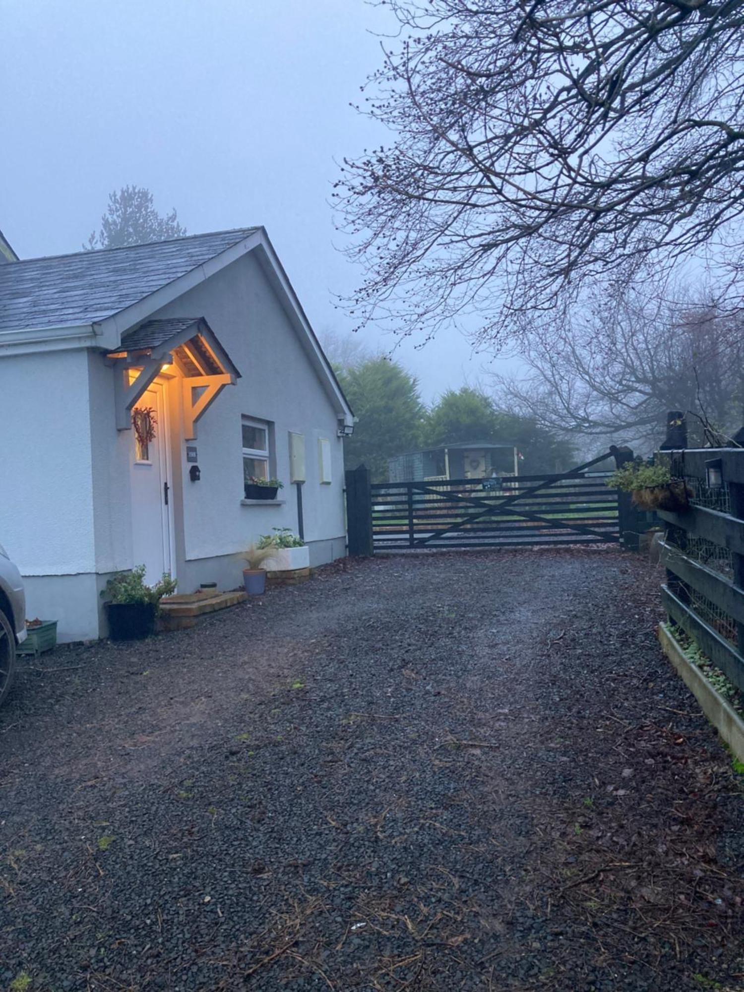 Beech Tree Cottage Glenwherry 외부 사진